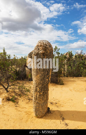 Les dunes de sable jaune et de piliers de calcaire dans le Désert des Pinnacles le Parc National de Nambung, dans l'ouest de l'Australie. Banque D'Images