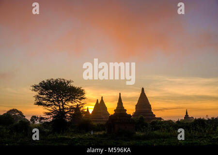 Silhouette de pagodes de Bagan dans les plaines du site archéologique tôt le matin au lever du soleil Banque D'Images