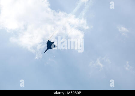 Indian Air Force l'exécution de manœuvres de voltige avec traces de fumée à Aero India 2013. Banque D'Images