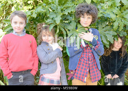 Un groupe d'enfants se cachent dans certains buissons verts dans un parc Banque D'Images