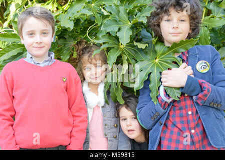 Un groupe d'enfants se cachent dans certains buissons verts dans un parc Banque D'Images