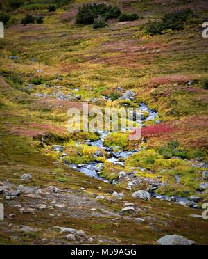 Petit ruisseau couler sur le flanc d'une montagne en Alaska Banque D'Images