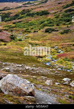 Petit ruisseau couler sur le flanc d'une montagne en Alaska Banque D'Images