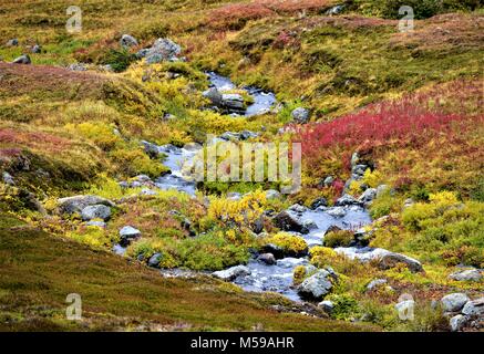 Petit ruisseau couler sur le flanc d'une montagne en Alaska Banque D'Images