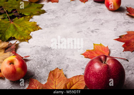 Des pommes mûres et de feuilles d'érable dans les compositions de béton gris Banque D'Images