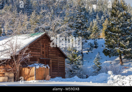 Nouveaux frais une cabane couverte de neige et de la végétation environnante après une nuit de tempête de neige dans la région de Ashland, Oregon, United States. Banque D'Images