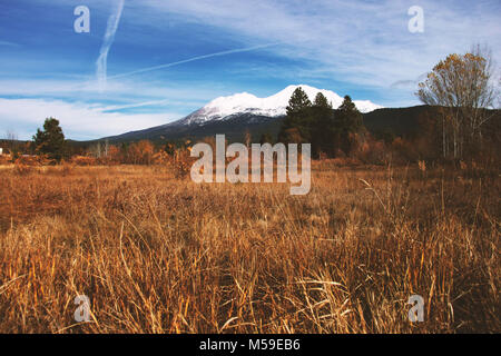 Mont Shasta Banque D'Images