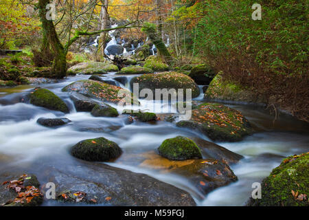 Becka Brook ci-dessous Becky Falls en automne Devon Dartmoor Banque D'Images