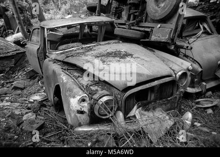 Royaume-uni, Angleterre, Cheshire, Bollington, vieille pourriture 1960 Rover 3 litre voiture en casse Banque D'Images