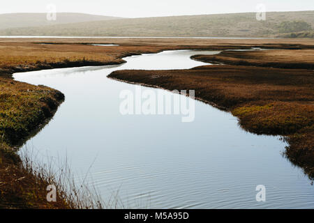 Les espaces ouverts de marais et canaux d'eau. Un calme plat de l'eau. Banque D'Images