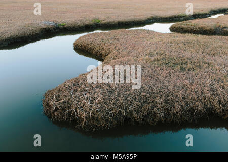 Les espaces ouverts de marais et canaux d'eau. Un calme plat de l'eau. Banque D'Images