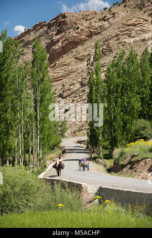 Le Maroc, marocain, Atlas mounatins road, dans le haut atlas, l'Afrique du Nord, d'Afrique, d'Afrique Banque D'Images