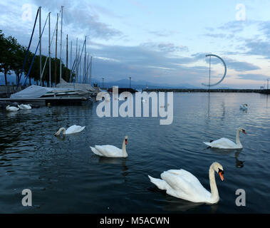 Lausanne Genève quai du lac avec des cygnes et yacht, Suisse Banque D'Images