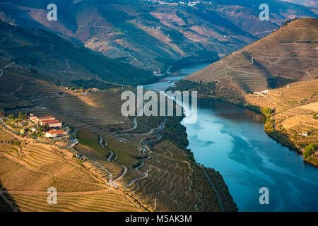 Vallée du Douro est une des plus importantes et des vignobles historiques en Europe Banque D'Images