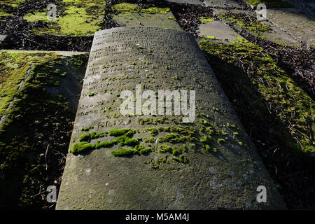 Tombes moussues à St Alkmund's Church Shrewsbury, Shropshire Banque D'Images