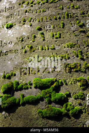 Tombes moussues à St Alkmund's Church Shrewsbury, Shropshire Banque D'Images