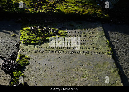 Tombes moussues à St Alkmund's Church Shrewsbury, Shropshire Banque D'Images