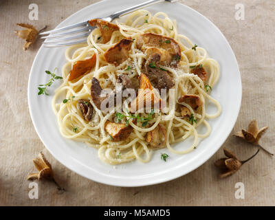 Wiild chanterelle ou girolle (Cantharellus cibarius) Champignons, Pied de mouton (Hydnum repandum) ou hedgehog mushrooms champignons, Pied bleu Banque D'Images