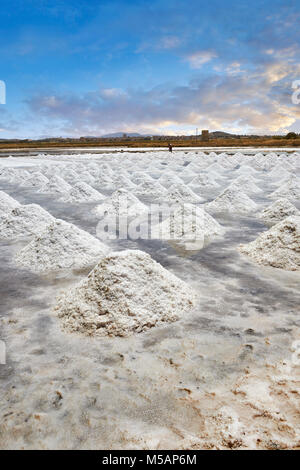 Photos et images d'hommes et la collecte de sel creuser dans un marais salant à la périphérie de Trapani, Sicile Banque D'Images