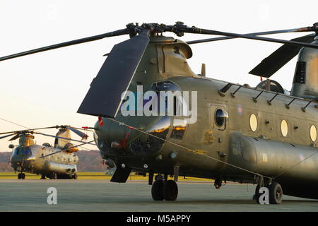 Boeing Vertol CH-47, Chinook Helicopter, RAF Odiham, Banque D'Images