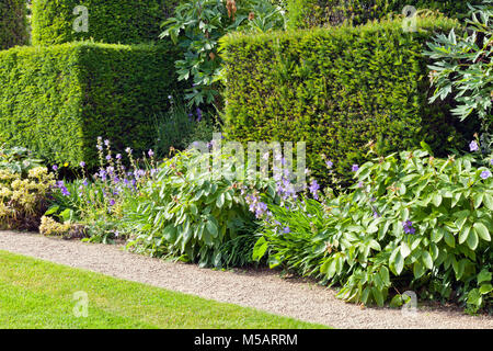 If rogné, couverture des plantes à fleurs par un petit chemin en pierre et pelouse, dans un jardin anglais de l'été . Banque D'Images