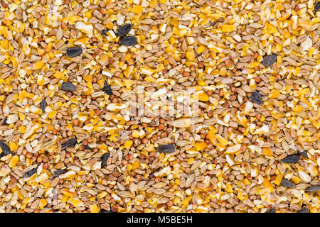 La texture de fond de semences broyées et mélange de grains pour le bétail et l'alimentation des oiseaux comme supplément alimentaire pour les animaux Banque D'Images