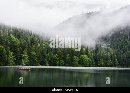 Un brumeux et des forêts pluviales tempérées montagneuses reflétée dans un lac à Clements Lake Zone de loisirs dans le Nord de la Colombie-Britannique, Canada. Banque D'Images