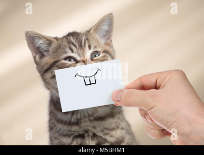 Chat drôle avec Smile sur carton Banque D'Images