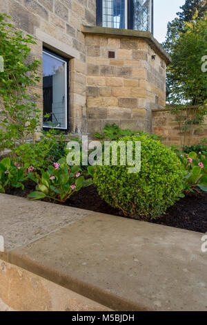 Petit coin de belle, paysagé, jardin privé avec un design contemporain, terrasse dallée, arbustes et plantes de la frontière par chambre - Yorkshire, Angleterre, Royaume-Uni. Banque D'Images