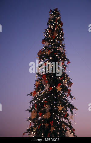 Arbre de Noël décoré de nuit à Mumbai, Maharashtra, Inde Banque D'Images