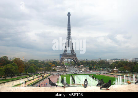 Tour Eiffel, du Trocadéro et de pigeons dans l'avant-plan, Paris, France Banque D'Images