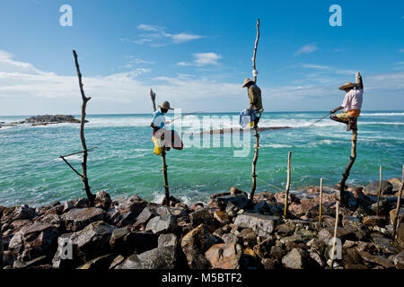 Sri Lanka, l'Asie, échasses, ficherman fisherman, plage, mer Banque D'Images