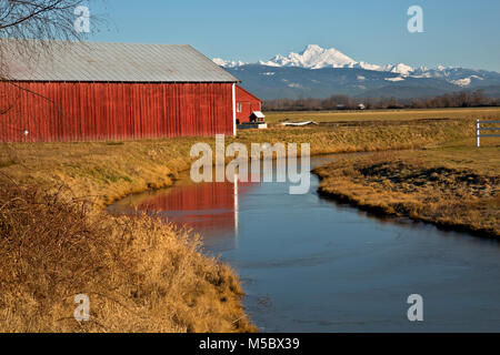 WA13539-00...WASHINGTON - ferme sur l'île Fox Hall à côté de Slough et une partie de la vallée de la Skagit Delta avec le mont Baker dans la distance. Banque D'Images