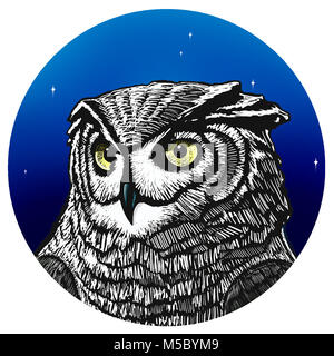 Owl illustration avec un ciel bleu. Illustration chouette d'étoiles. Banque D'Images