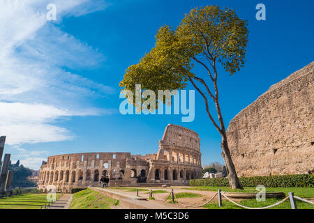 Colisée vu de la colline du Palatin à Rome, Italie Banque D'Images