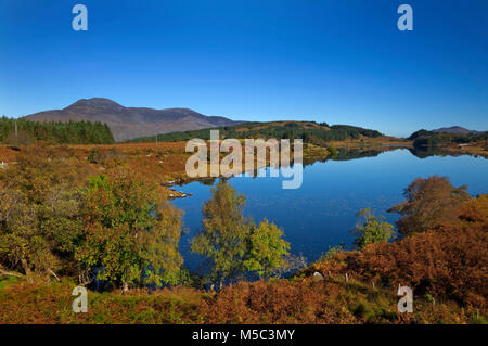 Looscaunagh Lough, le Parc National de Killarney, comté de Kerry, Irlande Banque D'Images