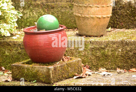 Jardin de plantes en pots les isolant de mauvaises herbes et autres plantes envahissantes Banque D'Images