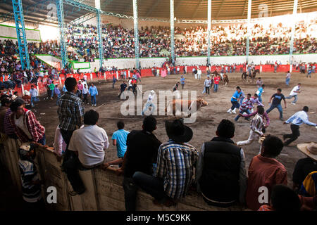 L'automne fiesta rodeo dans Keran, Michoacan, Mexique le vendredi 19 octobre, 2012. La ville de Keran détient deux fêtes annuelles pour célébrer leur culture et leurs croyances religieuses. En avril 2011, après des années d'extorsion par les cartels locaux et de la complaisance du gouvernement local et la police, les habitants de Keran reconquis leur ville et leurs terres. Le pueblo (traduit en tant que peuple ou communauté) face au cartel, enlevé le gouvernement d'office, et créé leur propre force de police pour protéger la ville. Banque D'Images