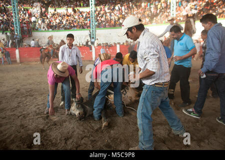 L'automne fiesta rodeo dans Keran, Michoacan, Mexique le vendredi 19 octobre, 2012. La ville de Keran détient deux fêtes annuelles pour célébrer leur culture et leurs croyances religieuses. En avril 2011, après des années d'extorsion par les cartels locaux et de la complaisance du gouvernement local et la police, les habitants de Keran reconquis leur ville et leurs terres. Le pueblo (traduit en tant que peuple ou communauté) face au cartel, enlevé le gouvernement d'office, et créé leur propre force de police pour protéger la ville. Banque D'Images