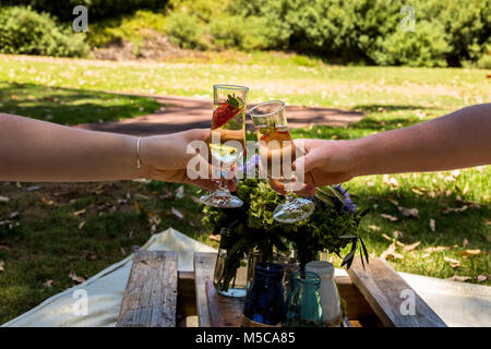 Pique-nique dans le parc avec un couple toasting with champagne Banque D'Images