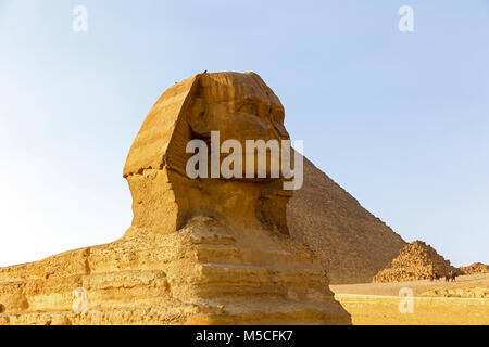 Le grand Sphinx de Gizeh, Karnak Temple, Le Caire, Egypte, Afrique du Nord Banque D'Images