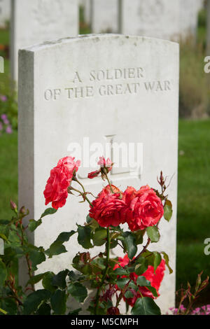 La Tombe du Soldat inconnu au cimetière de Cabaret Rouge, France Banque D'Images