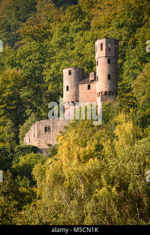 Burgruine Schwalbennest, eigentlich Schadeck bei Neckarsteinach im Landkreis Bergstraße Banque D'Images