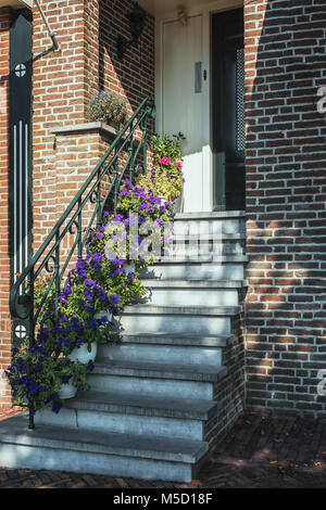 Escaliers décorés de pétunias à la porte d'une maison dans la ville frisonne de Sneek aux Pays-Bas Banque D'Images