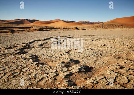 Sol sec, en face des dunes de sable, argile sel casseroles, Sossusvlei, Désert du Namib, Namibie, Namib-Naukluft National Park Banque D'Images