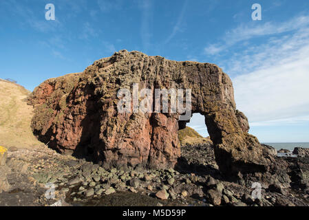 Roche de l'éléphant, près de la ville de Montrose, Angus, Scotland. Banque D'Images