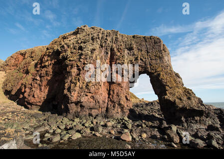 Roche de l'éléphant, près de la ville de Montrose, Angus, Scotland. Banque D'Images