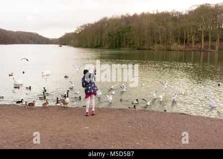 L'alimentation de la jeune fille les oiseaux au bord du lac à Newmillerdam Country Park et réserve naturelle, Wakefield, West Yorkshire, Royaume-Uni en février. Banque D'Images