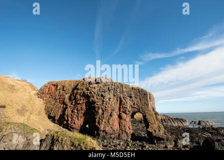 Roche de l'éléphant, près de la ville de Montrose, Angus, Scotland. Banque D'Images