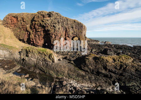 Roche de l'éléphant, près de la ville de Montrose, Angus, Scotland. Banque D'Images